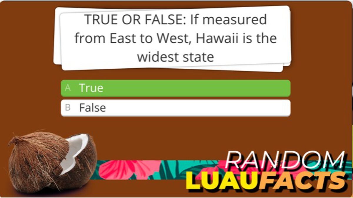 Random Luau Facts - Sidekick image number null